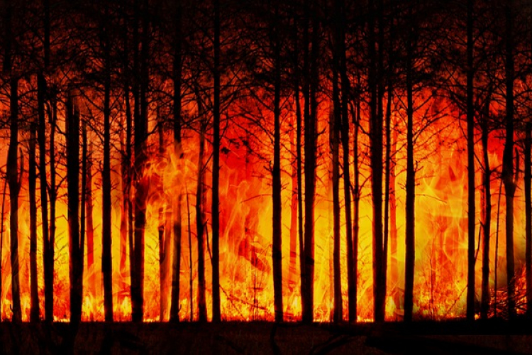 Válsághelyzetet hirdettek Észak-Macedóniában az erdőtüzek miatt