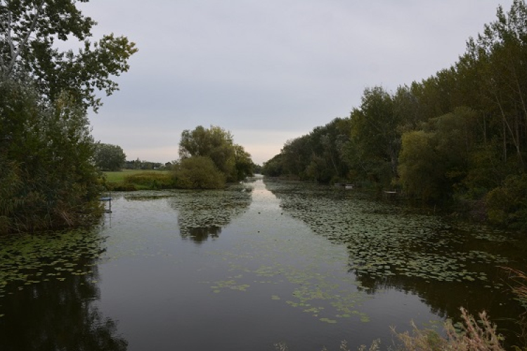 Legfőbb cél a tájba vizet juttatni