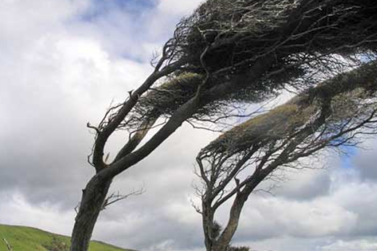 A fővárosba már megérkezett a hó, 109 km/h-s széllökést is mértek