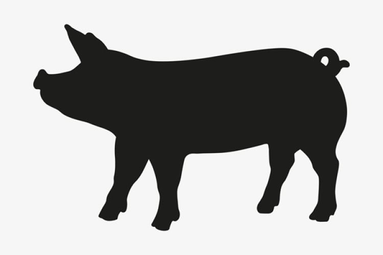 Hagyományőrző disznóvágás és Nőnap