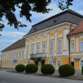 Tárlatvezetések a Csornai Múzeumban a csornai csata évfordulóján
