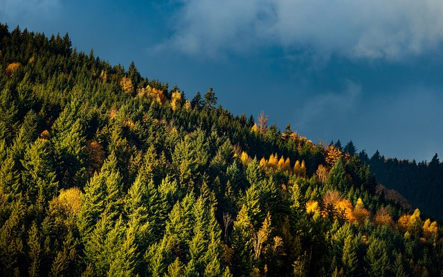 Az USA távozása után Európa volt a klímakonferencia főszereplője