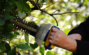 Zöldhulladék elhelyezés Osliban