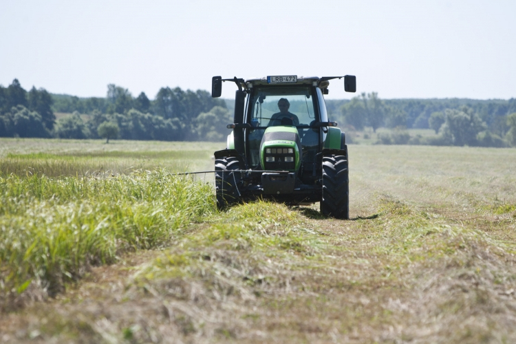 Jelentősen emelkedtek a mezőgazdasági termelői árak