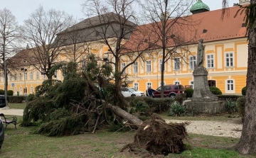 Csornán, Mihályiban, Enesén, Szilsárkányban, Szilban és Beledben is károkat okozott a tegnapi viharos szél