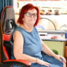 Szanyi búcsú.
