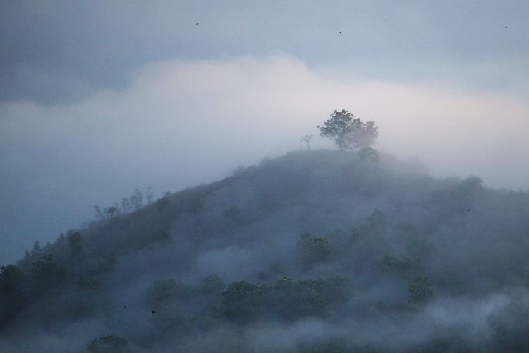 Ismét többfelé lesz sűrű köd