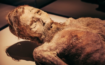 Titokzatos múmia titkait fürkészik a magyar tudósok