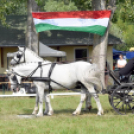 Árpási Fogathajtó Verseny