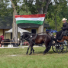 Árpási Fogathajtó Verseny