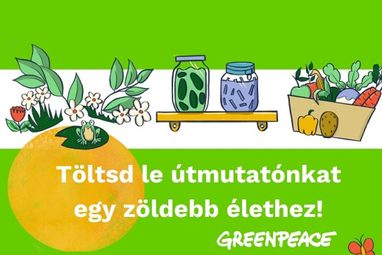100 könnyű tipp a zöldebb élethez