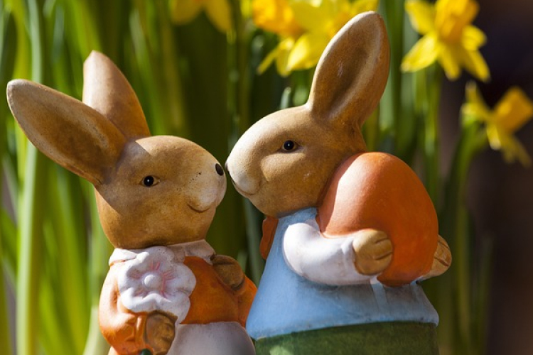 Az élő nyúl nem játék