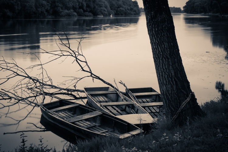 Téli szintjére állítják be a Tisza-tavat