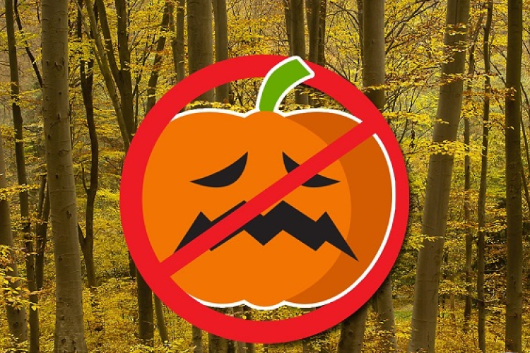 A halloween tök nem való a természetbe!
