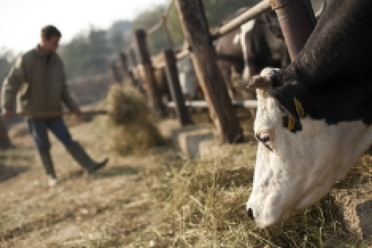 Kétmilliárdos támogatásra pályázhatnak a tanyák