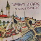Könyvbemutató Vágon